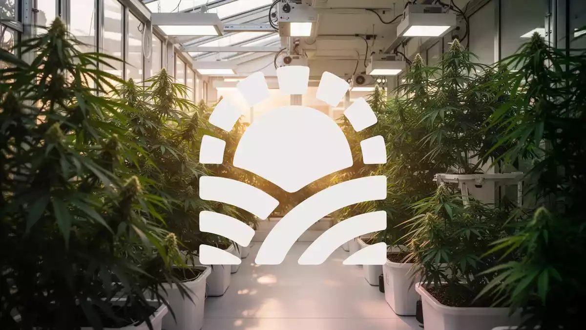 Green Thumb Industries vor Investorenkonferenz mit Gewinnwende