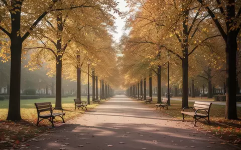 Ein sonniger, herbstlicher Park mit Spazierwegen und Bäumen, der eine Atmosphäre von Gesundheit und Wohlbefinden vermittelt. - Foto: über boerse-global.de