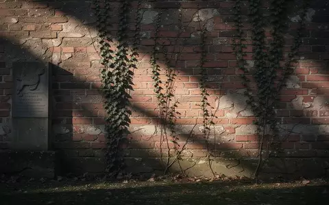 Eine historische Backsteinmauer eines Gedenkortes in Sachsen mit Efeu bei ruhigem Morgenlicht. - Foto: über boerse-global.de