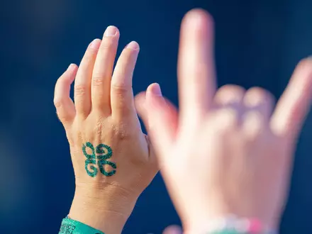 Das Glücksgefühle-Festival ist nach Angaben der Veranstalter mit 250.000 erwarteten Besucherinnen und Besuchern das größte Musikfestival Deutschlands. (Symbolbild) - Foto: Uwe Anspach/dpa