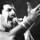 Freddie Mercury gilt als einer der legendärsten Live-Performer der Musikgeschichte. (Archivbild) - Bild: dpa