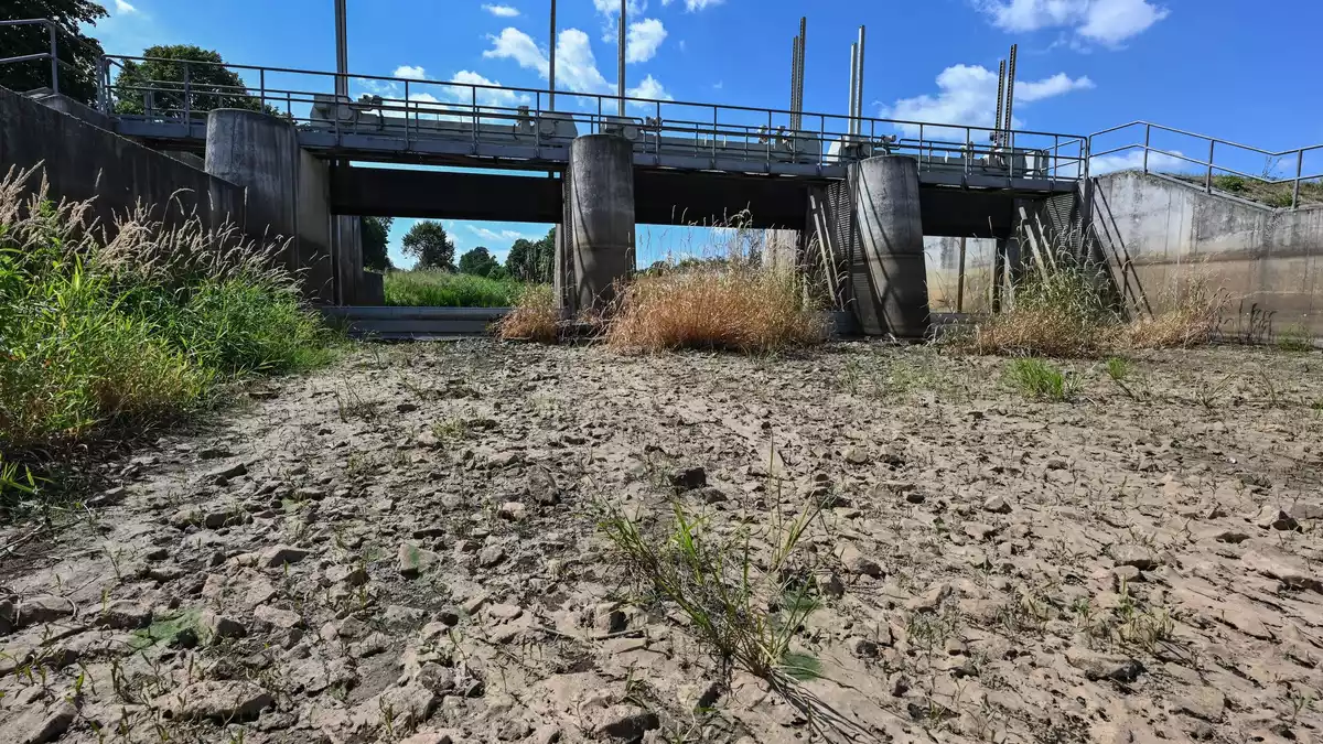 Die Wasserreserven in Deutschland werden geringer. (Archivbild) - Bild: Patrick Pleul/dpa