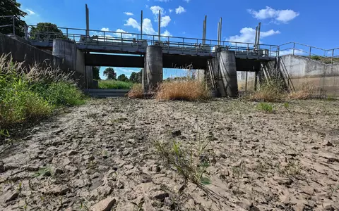 Die Wasserreserven in Deutschland werden geringer. (Archivbild) - Foto: Patrick Pleul/dpa