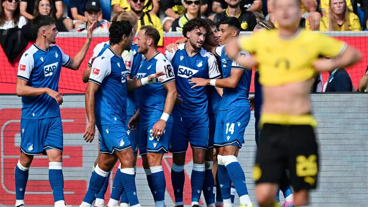 Hoffenheim jubelt, BVB-Profi Ryerson ist frustriert. - Bild: Uwe Anspach/dpa