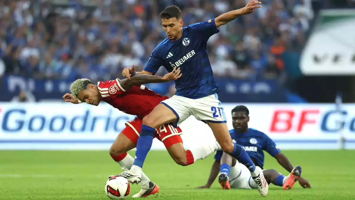 Die Schalker Spieler warfen sich im ersten Bundesliga-Heimspiel seit mehr als drei Jahren in fast jeden Zweikampf. - Bild: Fabian Strauch/dpa