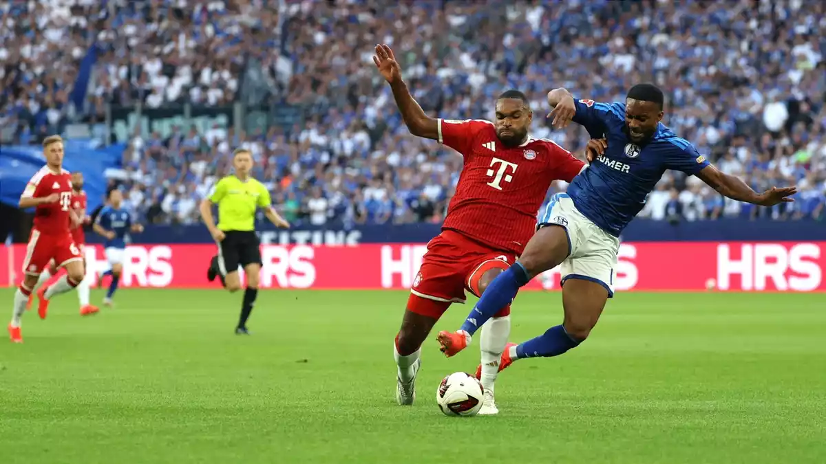 Schalke und Bayern lieferten sich in der Veltins-Arena eine intensive Partie.  - Bild: Fabian Strauch/dpa