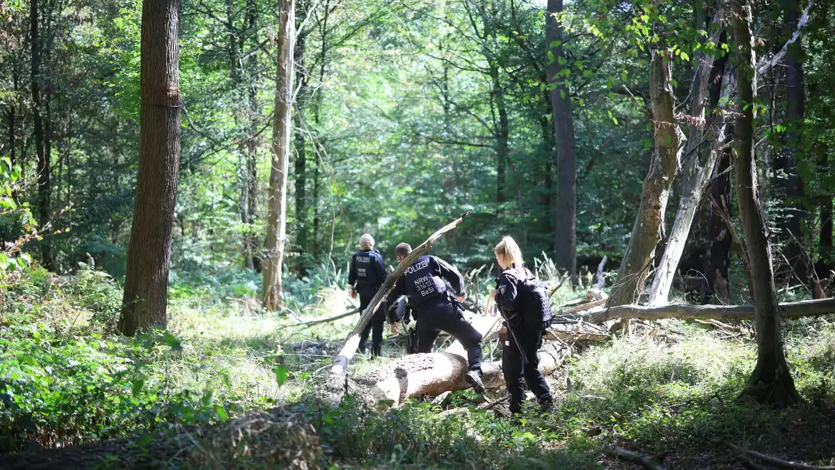 Die Polizei sucht mitten im Wald nach dem Verdächtigen. - Bild: Christoph Reichwein/dpa