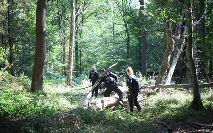 Die Polizei sucht mitten im Wald nach dem Verdächtigen. - Foto: Christoph Reichwein/dpa