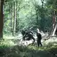 Die Polizei sucht mitten im Wald nach dem Verdächtigen. - Bild: Christoph Reichwein/dpa