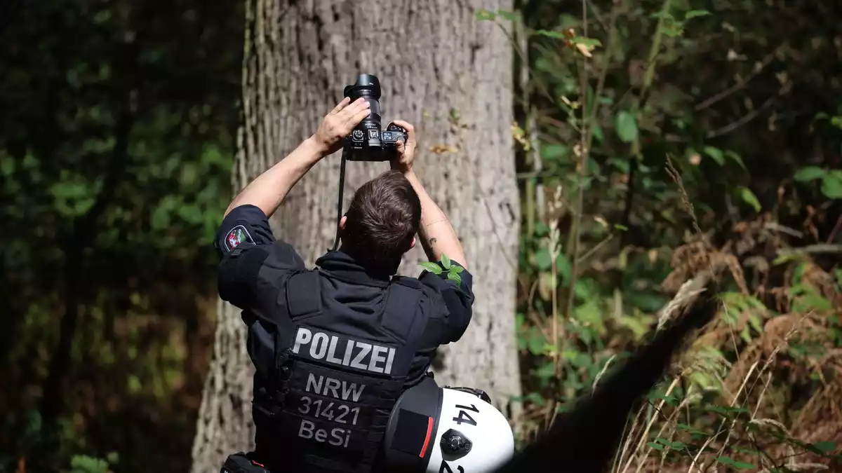 Auch mögliche Verstecke auf Bäumen werden geprüft. - Bild: Christoph Reichwein/dpa