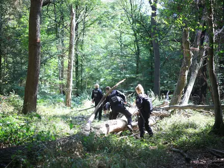 Die Polizei sucht mitten im Wald nach dem Verdächtigen. - Foto: Christoph Reichwein/dpa