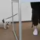 Ein kleiner Hund wartet in einem Wahllokal vor einer Wahlkabine.  - Bild: Klaus-Dietmar Gabbert/dpa