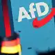Wie geht es für die AfD nach der Landtagswahl in Sachsen-Anhalt weiter? Das Ergebnis lässt mehrere Deutungen zu.  - Bild: Michael Brandt/dpa