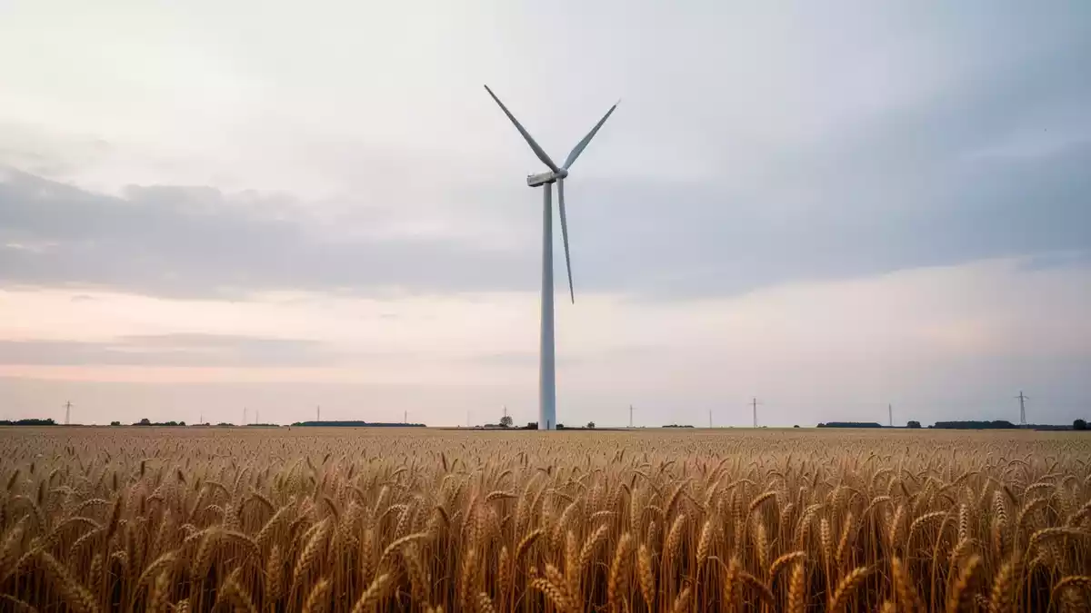 TUM-Studie zu E-Autos löst Streit über CO2-Bilanz aus