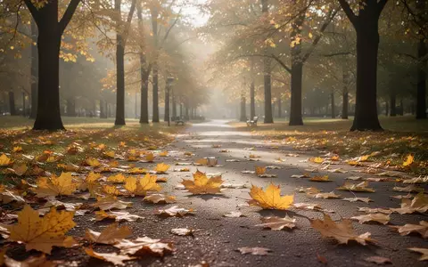 Ein von goldenem Herbstlaub bedeckter Weg in einem ruhigen Park im sanften Morgenlicht. - Foto: über boerse-global.de