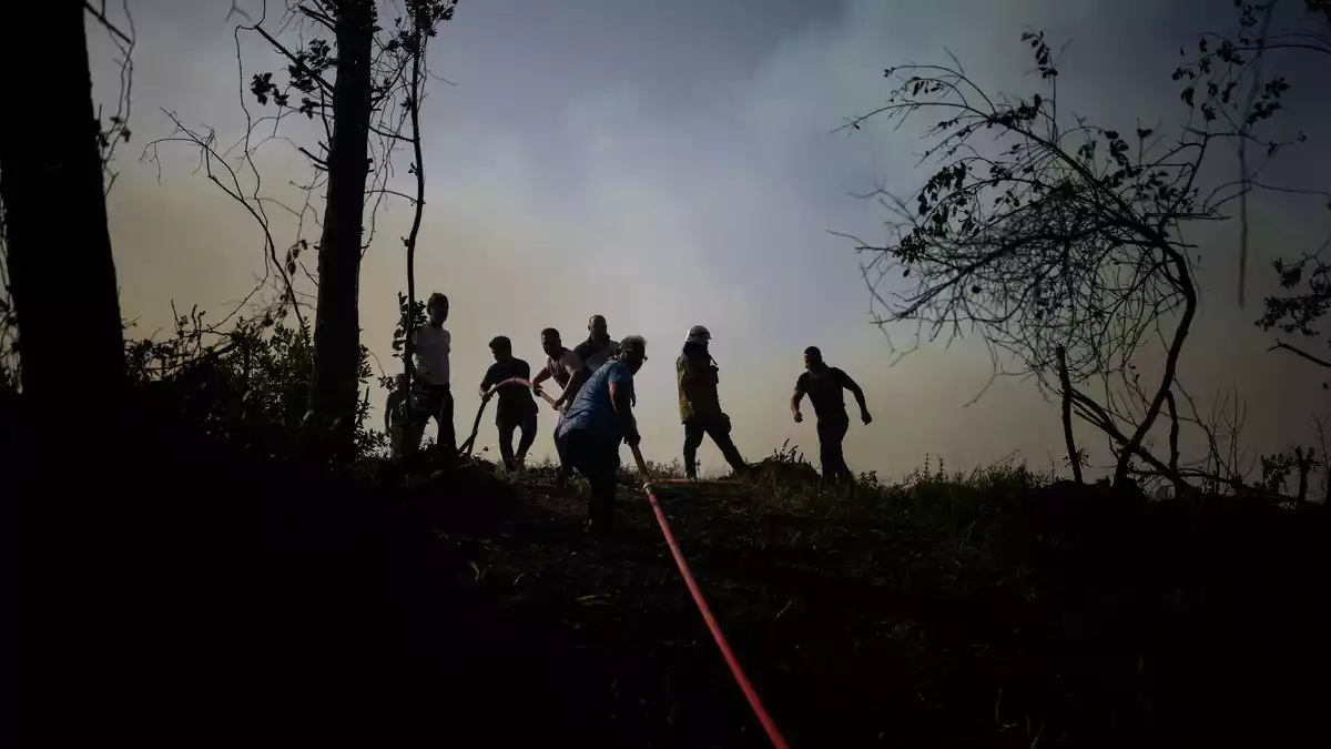Immer wieder gibt es Waldbrände in der Türkei. (Archivbild) - Bild: Emrah Gurel/AP/dpa