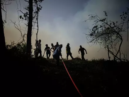 Immer wieder gibt es Waldbrände in der Türkei. (Archivbild) - Foto: Emrah Gurel/AP/dpa