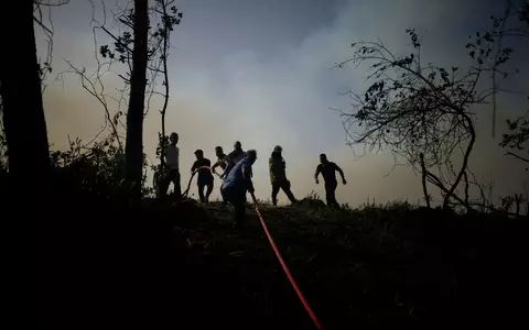Immer wieder gibt es Waldbrände in der Türkei. (Archivbild) - Foto: Emrah Gurel/AP/dpa