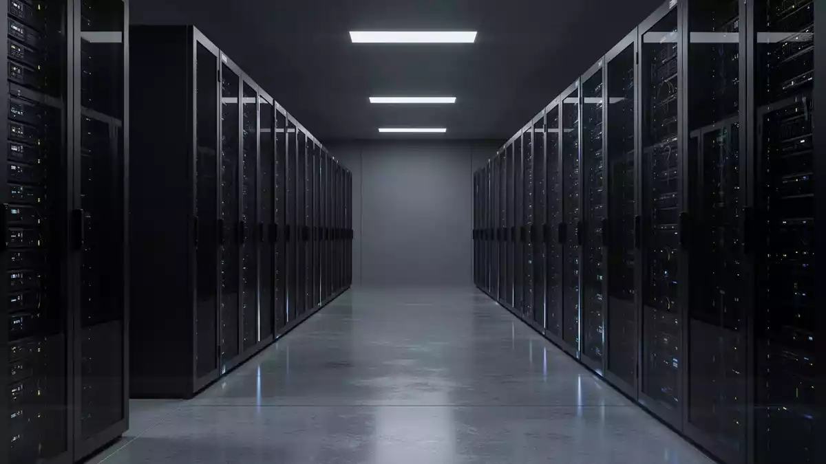 Windows 11: Datenschutz stärken und Systemleistung verbessern