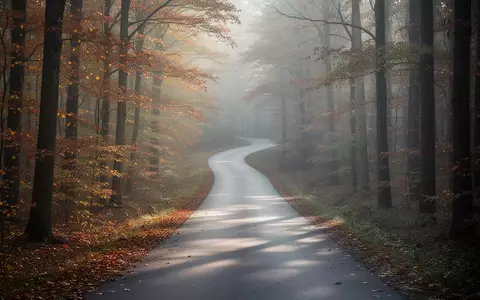 Ein einsamer, sich durch einen herbstlichen Wald schlängelnder Pfad im sanften Morgenlicht, der den langen Lebensweg symbolisiert. - Foto: über boerse-global.de