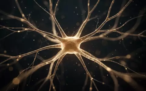 Nahaufnahme eines neuronalen Netzwerks zur Darstellung neuroprotektiver Forschungsprozesse. - Foto: über boerse-global.de