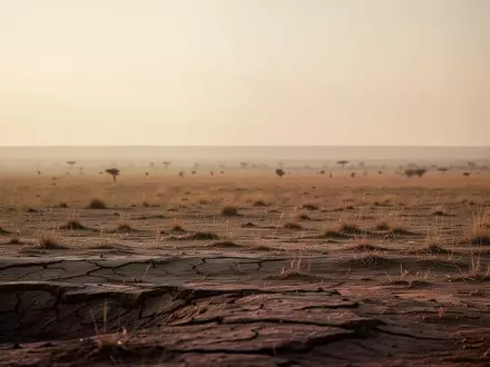Weite, trockene Savannenlandschaft in Westafrika bei goldenem Licht. - Foto: über boerse-global.de
