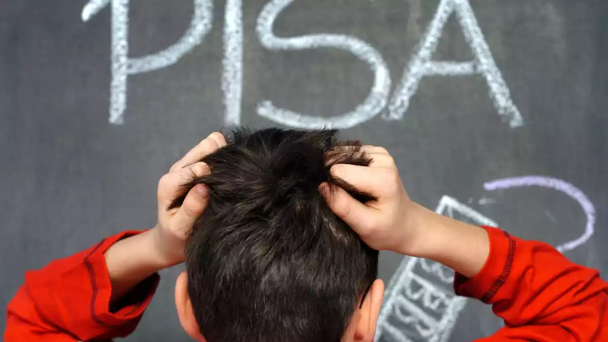 Alle drei Jahre nehmen auch deutsche Schülerinnen und Schüler an der internationalen Vergleichsstudie Pisa teil. (Symbolbild) - Bild: picture alliance / Jens Büttner/dpa