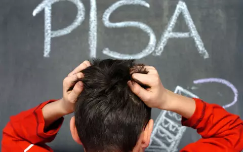 Alle drei Jahre nehmen auch deutsche Schülerinnen und Schüler an der internationalen Vergleichsstudie Pisa teil. (Symbolbild) - Foto: picture alliance / Jens Büttner/dpa