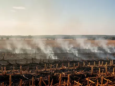 Ein abgeerntetes Stoppelfeld mit einer kontrollierten Brandstelle und aufsteigendem Rauch bei natürlichem Tageslicht. - Foto: über boerse-global.de