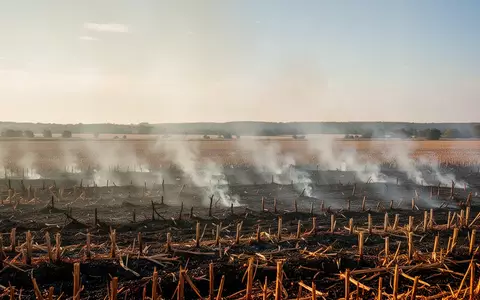 Ein abgeerntetes Stoppelfeld mit einer kontrollierten Brandstelle und aufsteigendem Rauch bei natürlichem Tageslicht. - Foto: über boerse-global.de