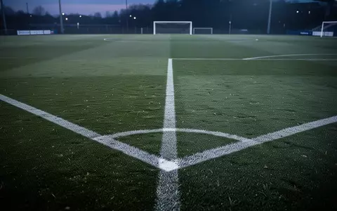 Ein leerer Fußballplatz bei Dämmerung mit Fokus auf das Gras und die weißen Linien. - Foto: über boerse-global.de