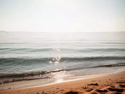 Eine ruhige, sonnige Ostseeküste an einem warmen Sommertag ohne Menschen. - Foto: über boerse-global.de