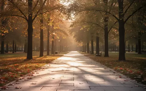 Ein sonnendurchfluteter Parkweg im Herbst mit langen Schatten, der Ruhe und Beständigkeit im Alter symbolisiert. - Foto: über boerse-global.de