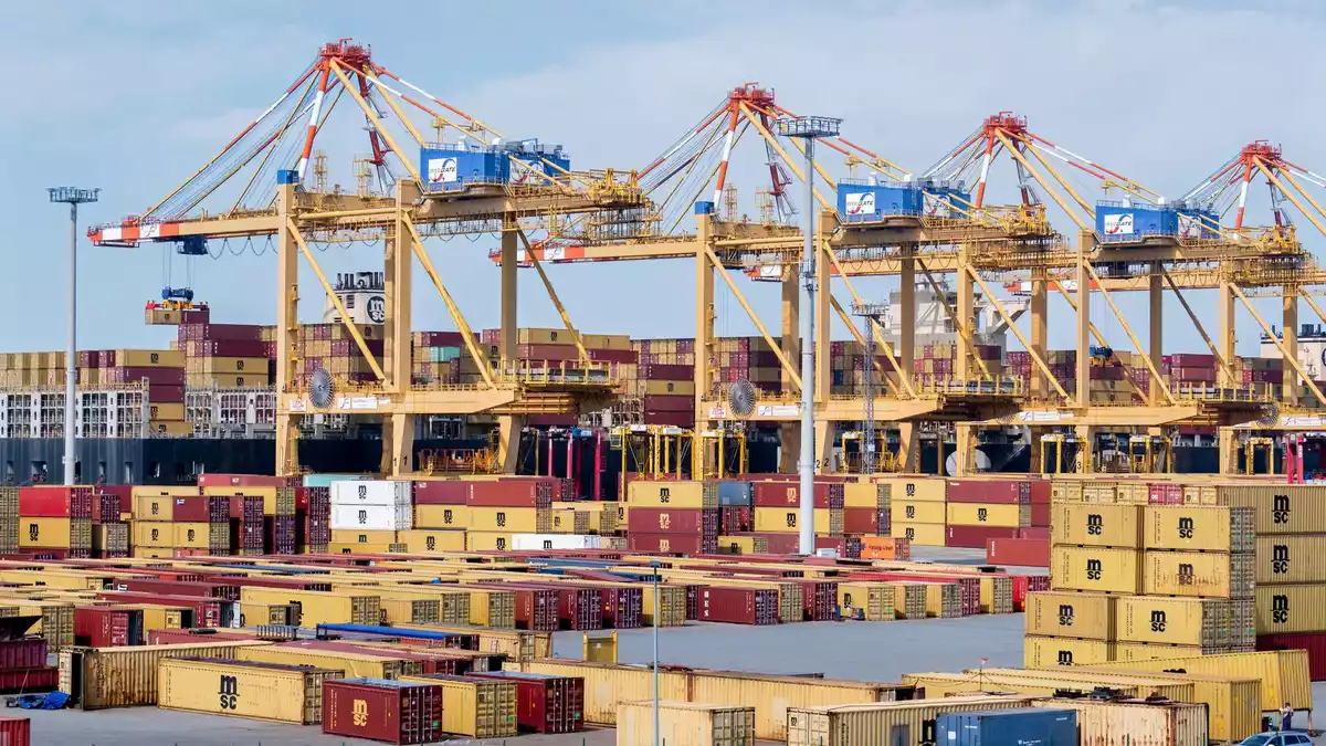 Der deutsche Export hat im Juli einen Dämpfer erhalten. (Foto:Archiv)  - Bild: Hauke-Christian Dittrich/dpa