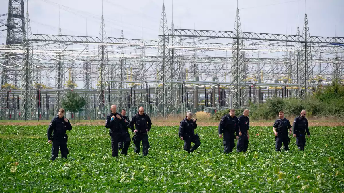 Nach dem Angriff auf die Stromleitungen am Kraftwerk Bergheim bei Köln suchten Polizisten nach Beweisen. - Bild: Henning Kaiser/dpa
