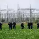 Nach dem Angriff auf die Stromleitungen am Kraftwerk Bergheim bei Köln suchten Polizisten nach Beweisen. - Bild: Henning Kaiser/dpa