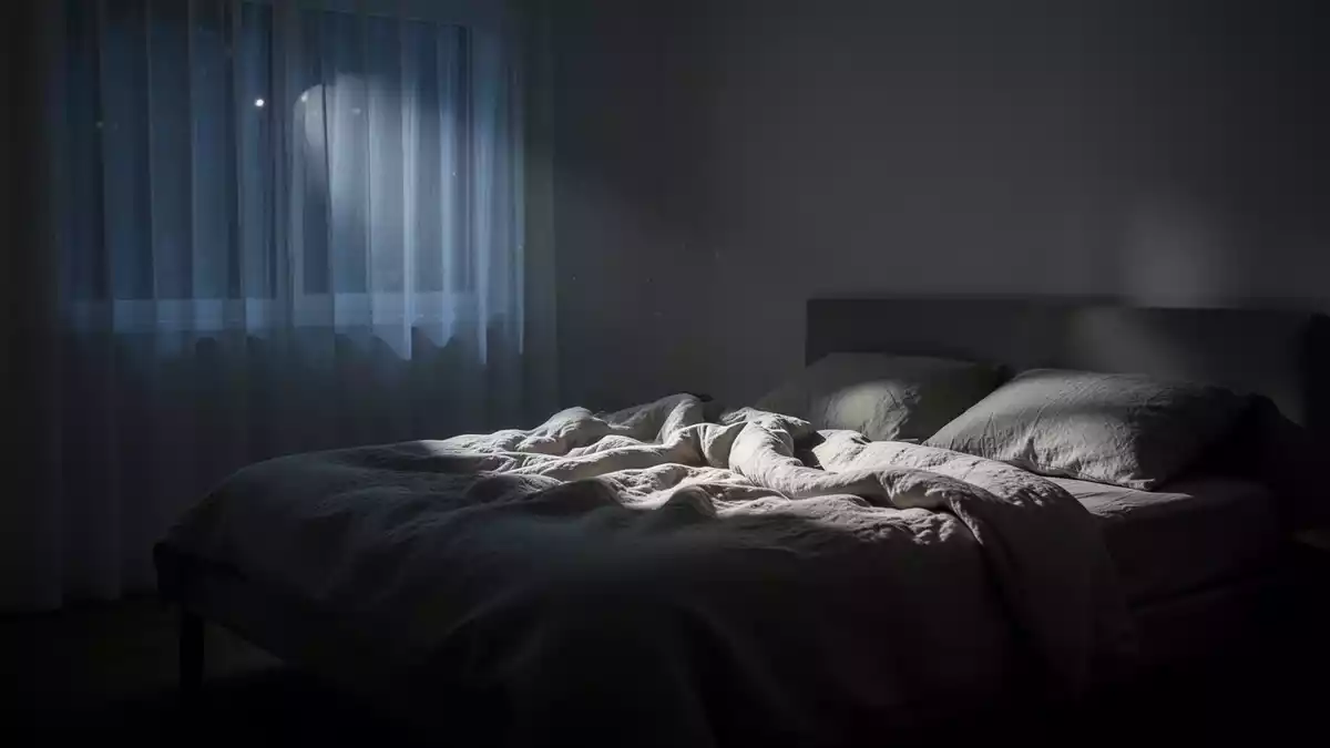 Tiefschlaf stärkt laut Mäusestudie die Widerstandskraft gegen Stress