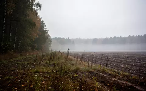 Weite, neblige Agrarlandschaft mit einem Übergang zwischen bewirtschaftetem Wald und Brachland unter einem grauen Himmel. - Foto: über boerse-global.de