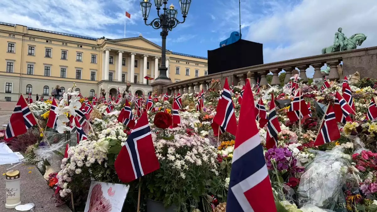 Der Schlossplatz in Oslo verwandelte sich in ein Blumenmeer.  - Bild: Jan Mies/dpa