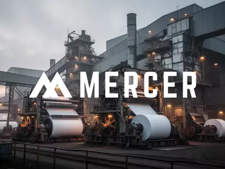 Industrielle Fabrikanlage einer Papierfabrik bei bewölktem Morgenlicht. - Foto: über boerse-global.de