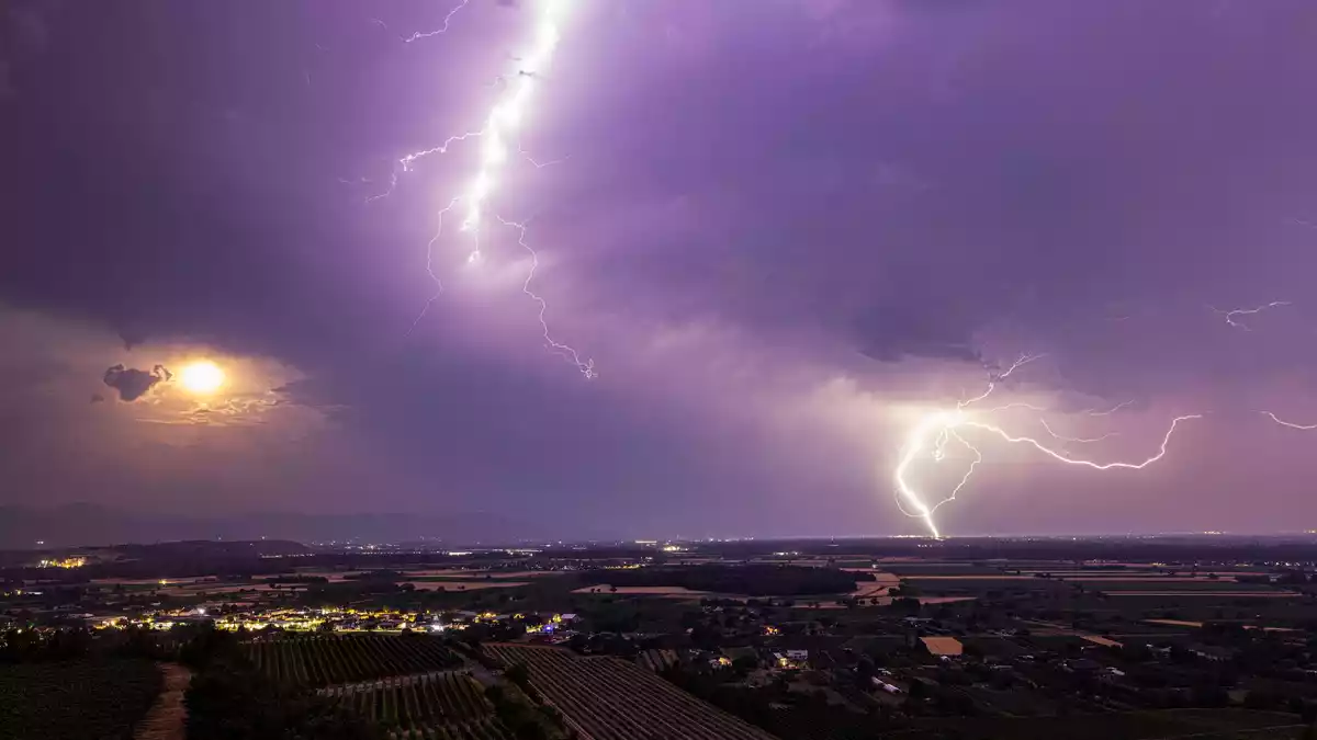 Etwa 70 Einsatzkräfte waren mit 20 Fahrzeugen im Einsatz. (Symbolbild) - Bild: Philipp von Ditfurth/dpa