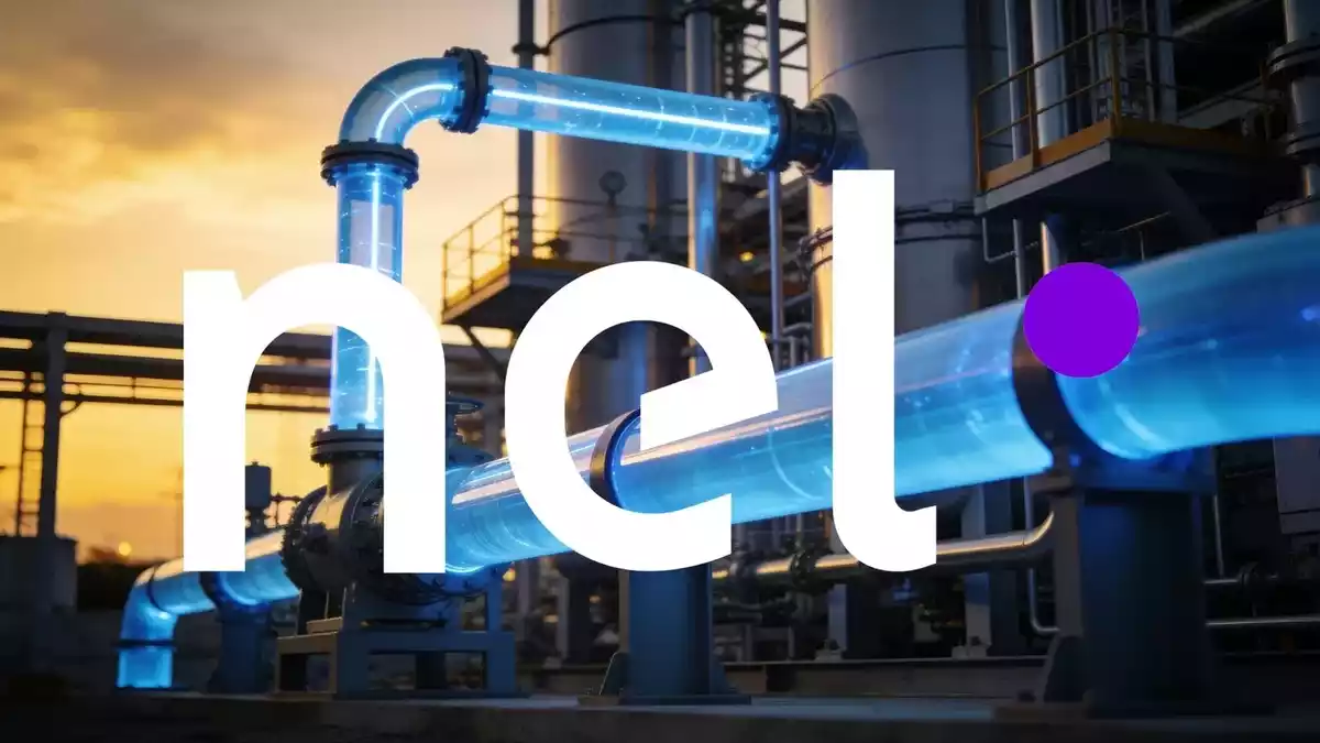 Nel ASA: Order Surge vs Revenue Slump, CEO Search Drags