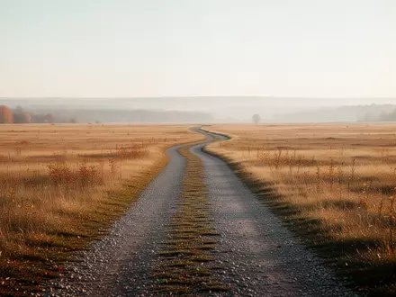 Ein langer, geschwungener Kiesweg durch eine goldene Herbstwiese, der symbolisch für den Lebensweg und die Zukunft steht. - Foto: über boerse-global.de