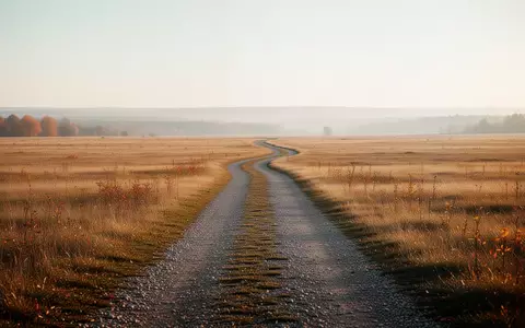 Ein langer, geschwungener Kiesweg durch eine goldene Herbstwiese, der symbolisch für den Lebensweg und die Zukunft steht. - Foto: über boerse-global.de