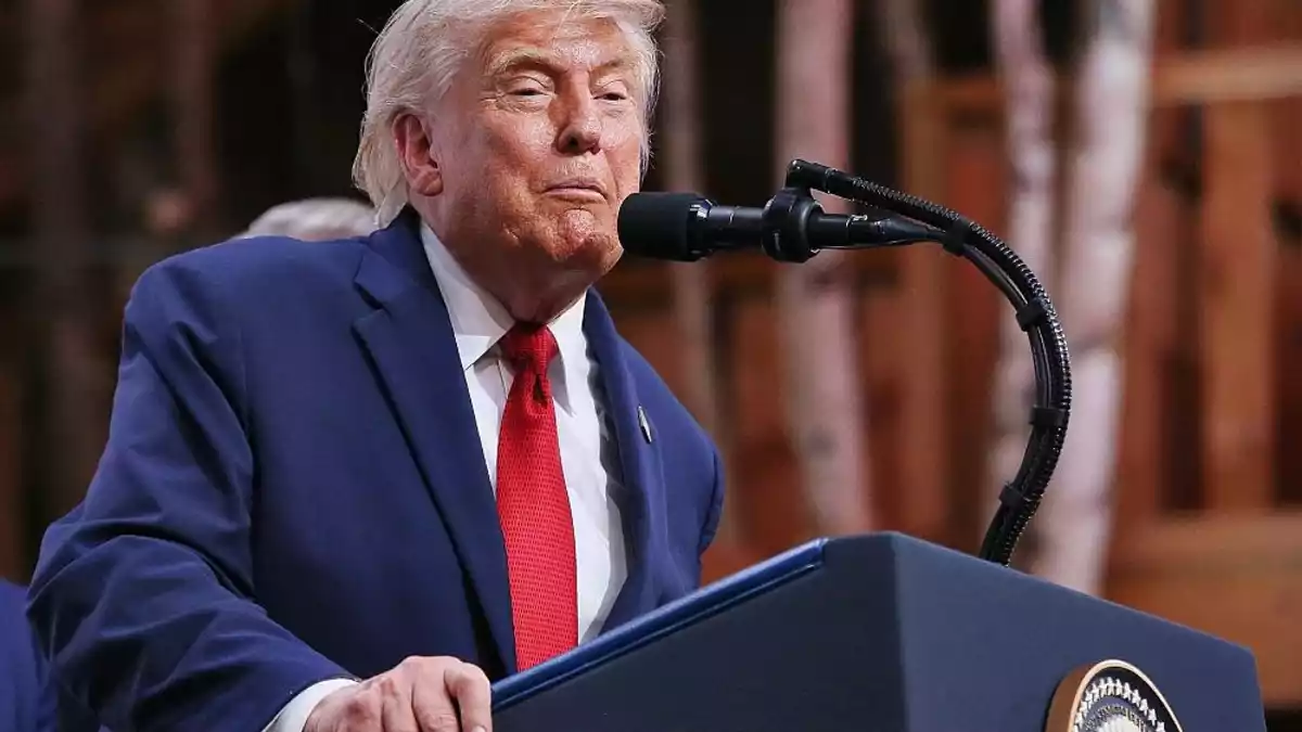 Bundesregierung weist Trumps Ratschläge zur AfD zurück