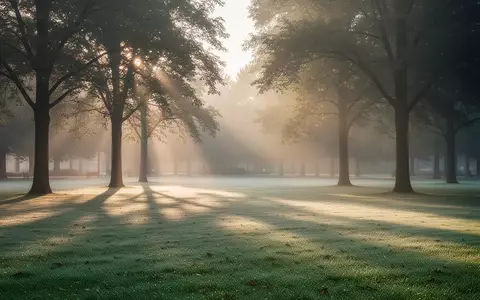 Ein ruhiger Park bei Sonnenaufgang mit sanftem Licht und weiten Grünflächen, das Ruhe und mentale Stabilität symbolisiert. - Foto: über boerse-global.de
