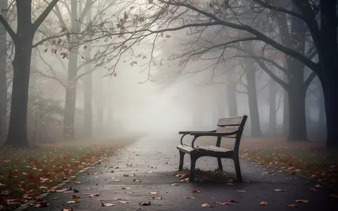 Eine leere Parkbank auf einem nebligen Weg in einem herbstlichen Park, die Einsamkeit und soziale Isolation symbolisiert. - Foto: über boerse-global.de