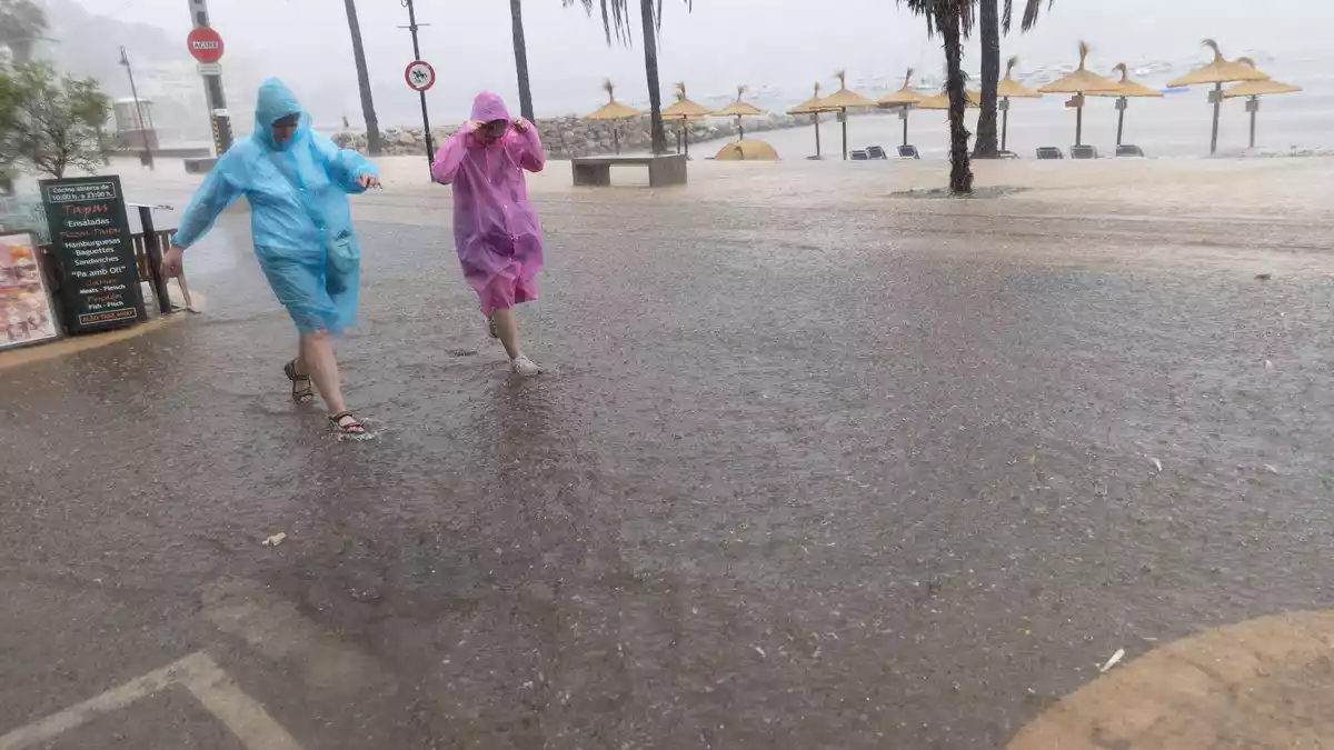 Örtlich fielen bis zu 47 Liter Regen pro Quadratmeter. - Bild: Clara Margais/dpa