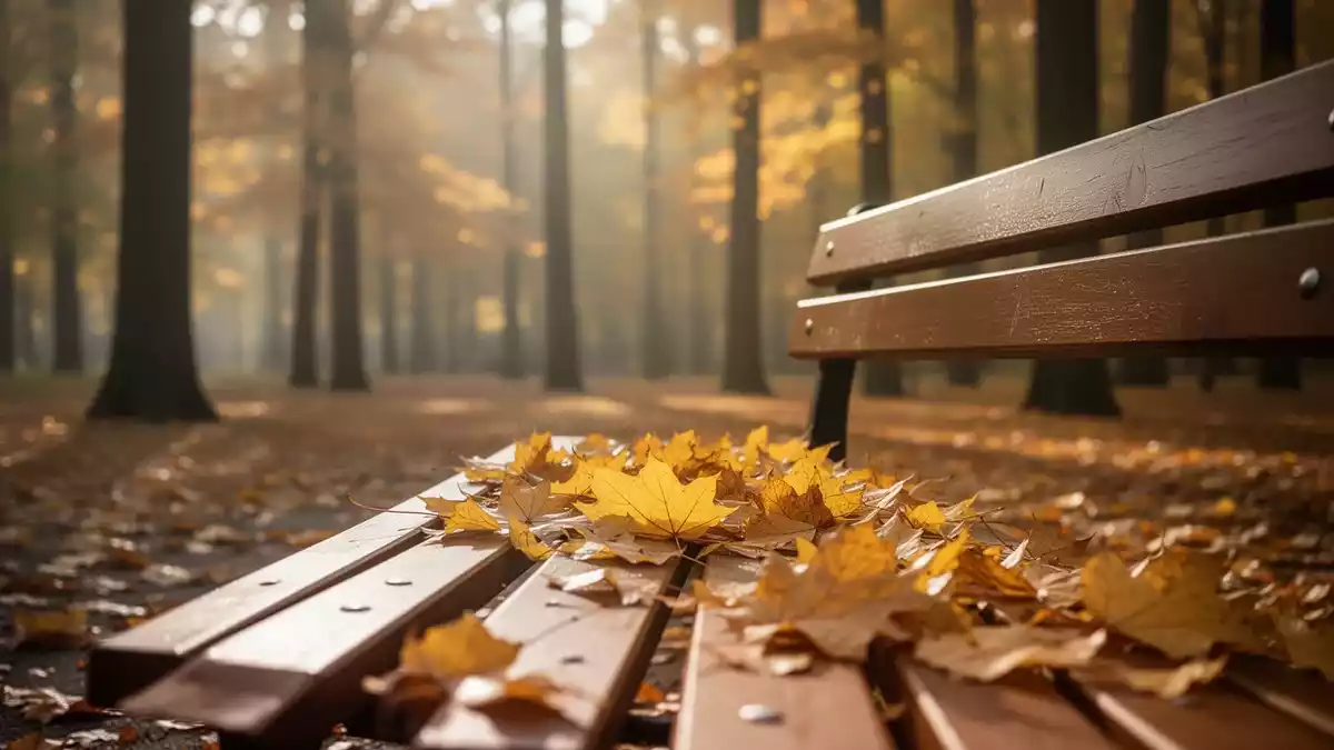 Senioren im Herbst: Impfungen und Hygiene schützen vor Infekten