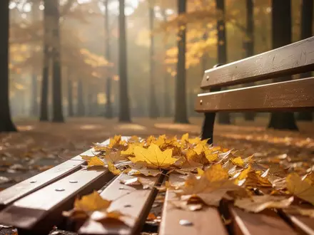 Eine Parkbank mit herbstlichem Laub in einem sonnigen Park bei herbstlicher Stimmung. - Foto: über boerse-global.de